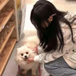 崩坏3一加服下载